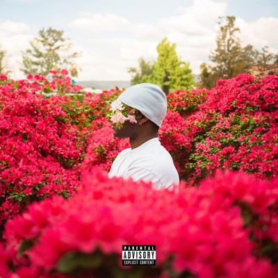 What she likes (feat. Noxz) - Single