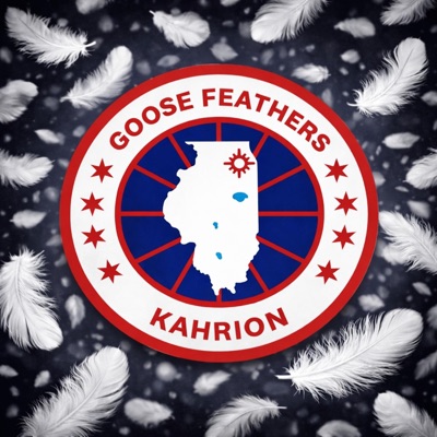 Goose Feathers - Single