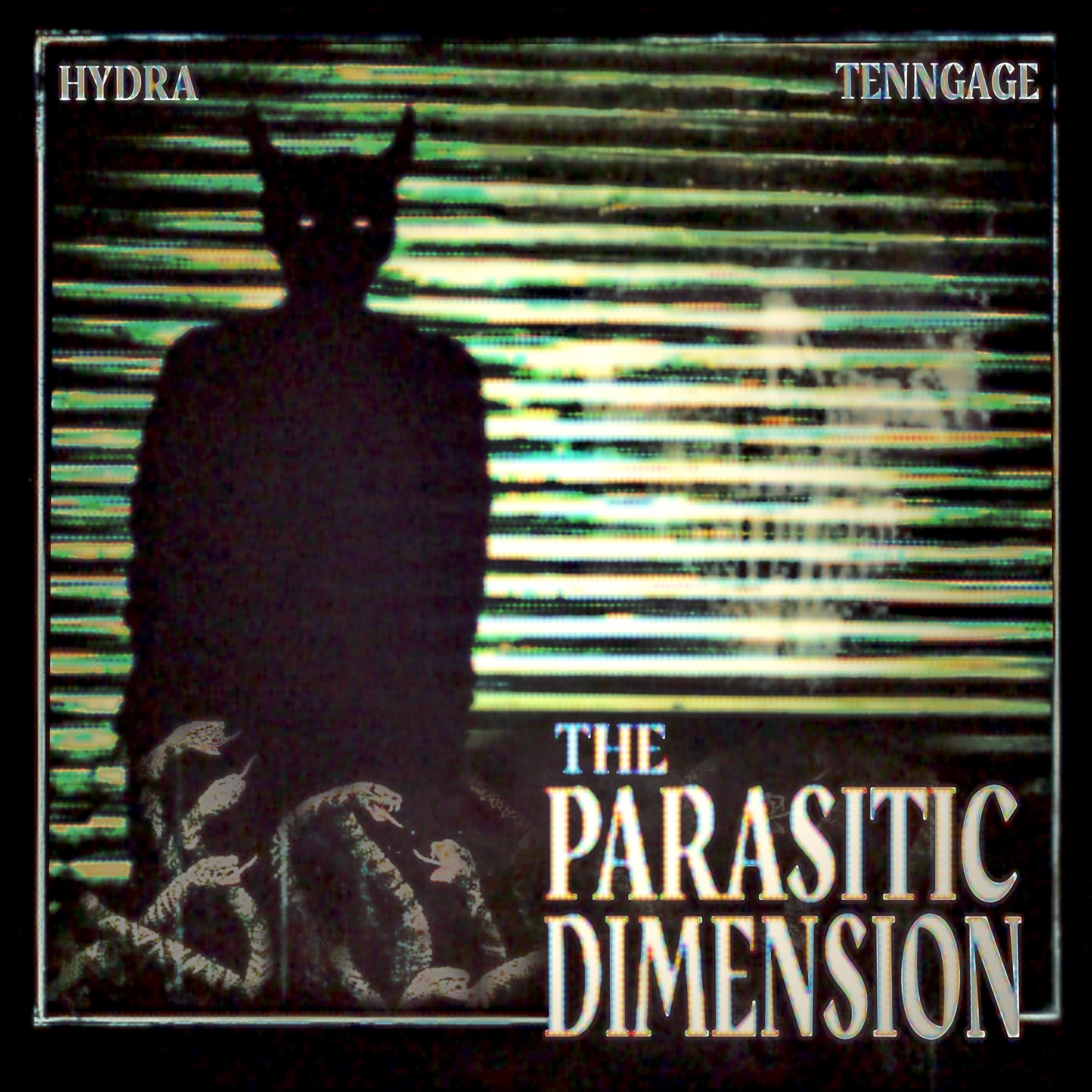 The Parasitic Dimension - Single