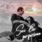 Sei la perfezione - Manuel Burroni lyrics