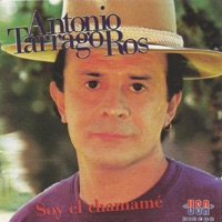 Antonio Tarragó Ros