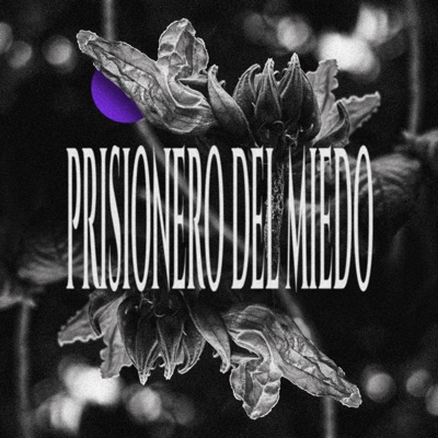 Prisionero del Miedo (feat. Calvo Kabron) - Single