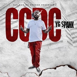 Real Shit Outro YG Spank
