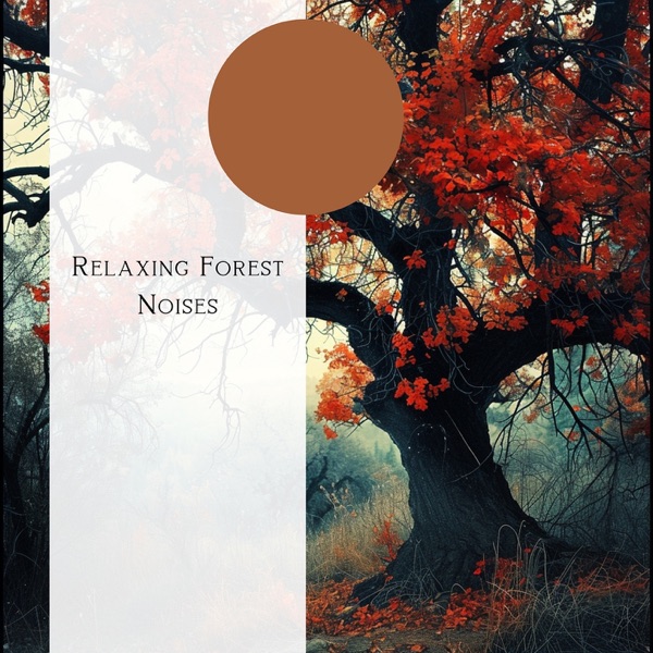 Relaxing Forest Noises