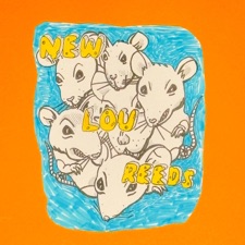 The New Lou Reeds - You've Been Manipulated