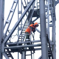 ROOTS (feat. Carlos Shega, Monk.E, Private Max & X Jobba) - Single - Berlin International Cypher