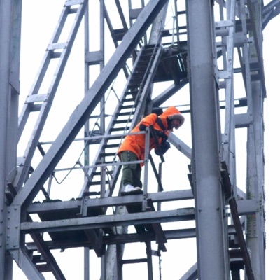 ROOTS (feat. Carlos Shega, Monk.E, Private Max & X Jobba) - Single