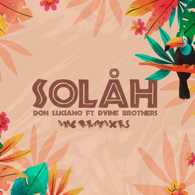 Solah (feat. Dvine Brothers) [Remix]