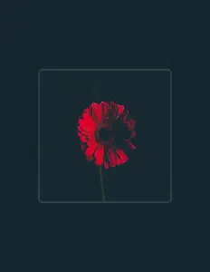 Ouve FLYNGZLPHNT, vê vídeos de música, lê a biografia, vê as datas da digressão e muito mais!