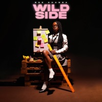 Wildside - Single - Bee Chanda
