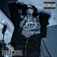Big Bills - Single - Pocomota