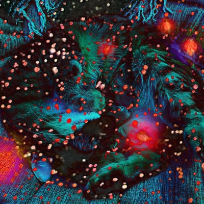 stomachache (feat. coldpizza) - Single