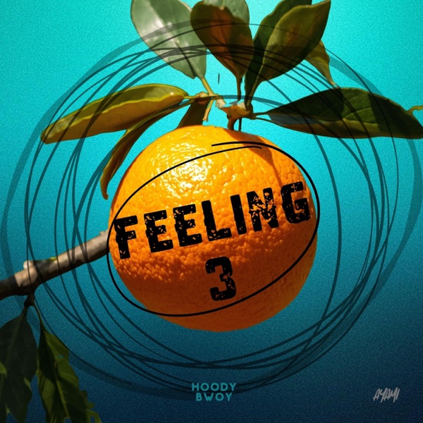 FEELING 3