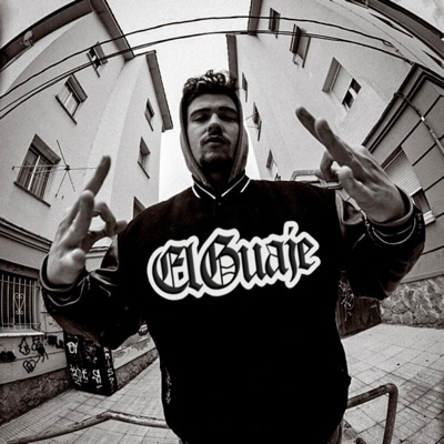 EL GUAJE (feat. Mevi Tracks) - Single