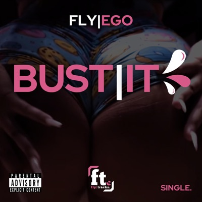 Bust It - Single