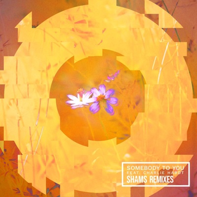 Somebody to You (KIANA NADINE REMIX) - Single