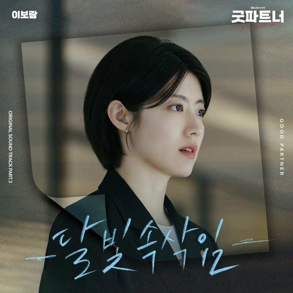 Lee Boram - Good Partner (Original Television Soundtrack) Pt. 3 - Single (2024) [iTunes Plus AAC M4A]-新房子