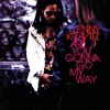 Are You Gonna Go My Way cover art