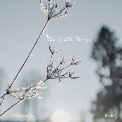 The Little Things - Single