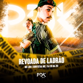 Revoada de Ladrao DJ 2G da ZN, SURFISTAA MC & MC LDB
