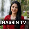 Nasrin Tanya - Nasrin Tanya(هاتم لاوێ دەلال)