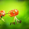 To You