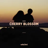 Cherry Blossom — Cakes