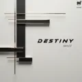 Destiny