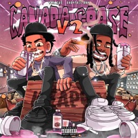 Canada Goose V2 (feat. Babyface Ray) - Single - YMN Gus