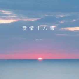爱情十八弯 (伴奏) pro