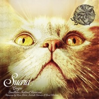 Southern Instinct (Remixes) - EP - Coyu