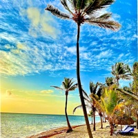 Vie d'artiste (feat. Sam Cruz Music) - Single - Souki S