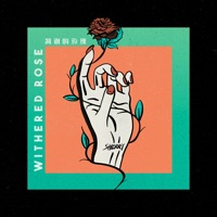 凋謝的玫瑰 - Single - Sherry Ai