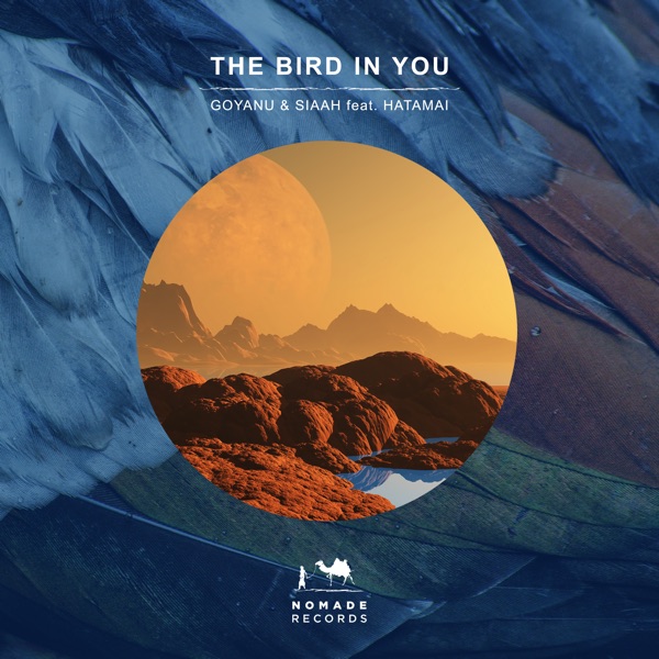The Bird in You (feat. Ardavan Hatami) - Single