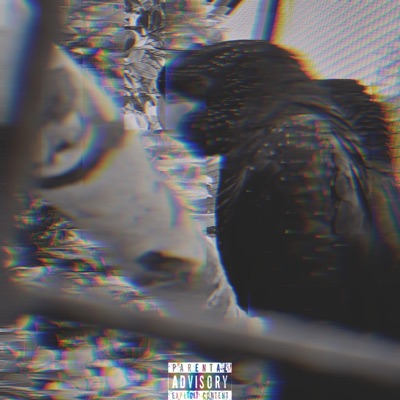 Hell Mary (feat. Punchline MC) - Single