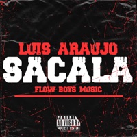 Sacala Sacala (feat. Davidp) - Single - Luis Araujo Jr