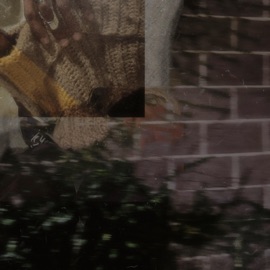 the bitter bloom kame