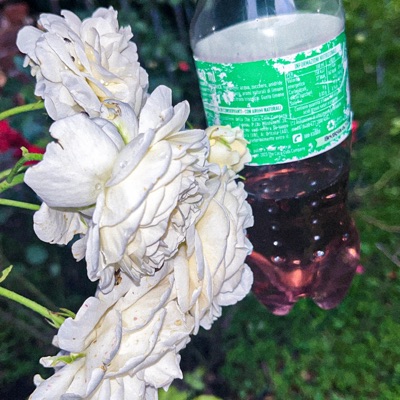 ZOMBIE WRLD - Single