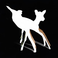 heavy on my chest - fauna