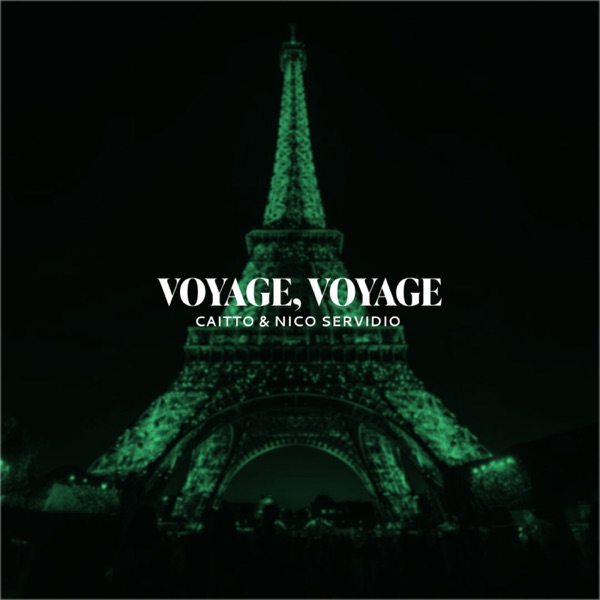 Voyage Voyage - Single