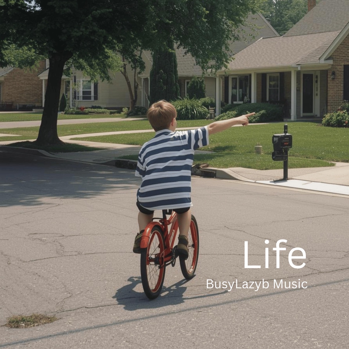 Life cover art