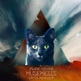 Love (Nikita Switch Remix) Musemesis