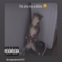 Based (feat. BxddieChay) - Single - SGK ENT