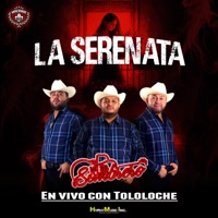 La Serenata (En Vivo (Con Tololoche)) - Los Del Sombrero