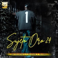 Sin Voluntad, Te Amare, Peligro