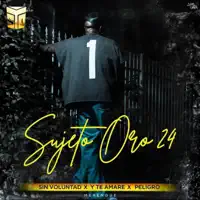 Sin Voluntad, Te Amare, Peligro — Sujeto Oro 24
