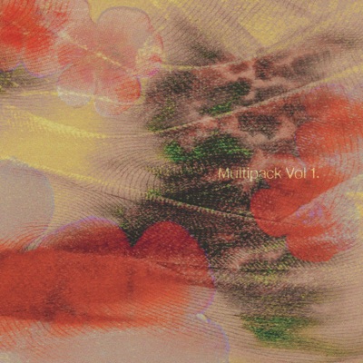Multipack Vol.1 - EP