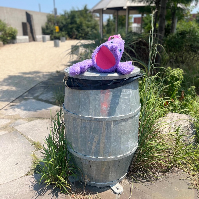 Strays Early Riser Song Lyrics, Music Videos & Concerts