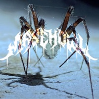 2relaxed - Single - masehowl