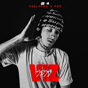 VIZ #4 (feat. Ccflakks) - Single